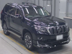 Toyota LAND CRUISER PRADO 2021 года TRJ150-0131056 ID: 544827 1