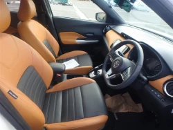 Nissan KICKS 2020 года P15-015996 ID: 509934 18