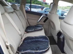 Toyota LAND CRUISER PRADO 2021 года TRJ150-0131056 ID: 544827 8