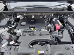 Toyota RAV4 2021 года MXAA54-4025374 ID: 544542 19