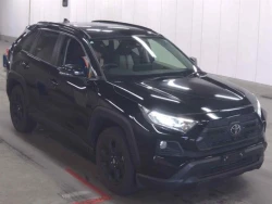 Toyota RAV4 2021 года  MXAA54-2028830 ID: 547108 12