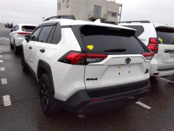 Toyota RAV4 2022 года MXAA54-5036321 ID: 542317 2