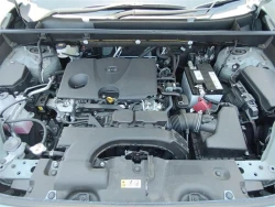 Toyota RAV4 2021 года MXAA54-5018790 ID: 548359 17