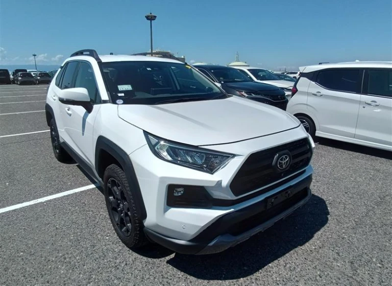 Toyota RAV4 2022 года MXAA54-5033219 ID: 548273