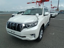 Toyota LAND CRUISER PRADO 2022 года TRJ150-0153933 ID: 548661 11