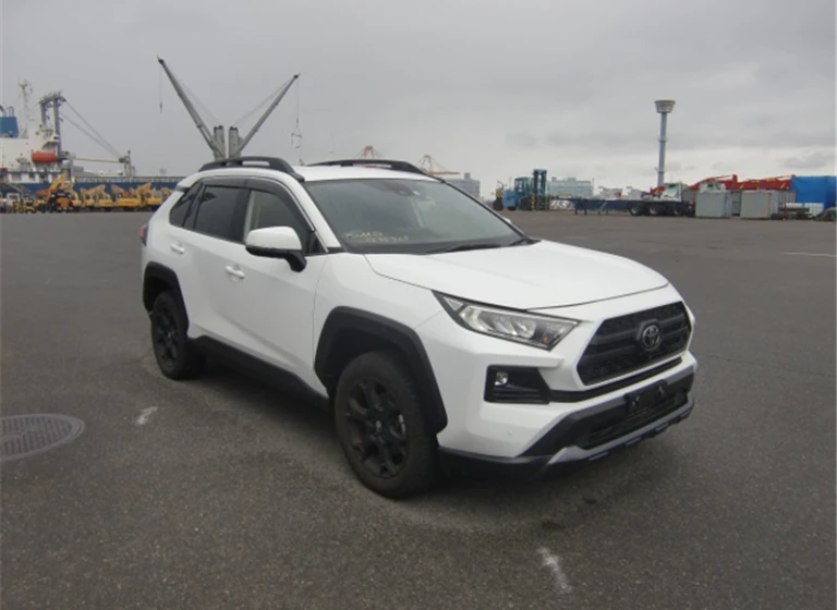 Toyota RAV4 2022 года MXAA54-5035369 ID: 551240