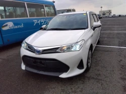 Toyota COROLLA FIELDER 2020 года NKE165-7233531 ID: 517191 28