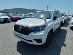 Toyota LAND CRUISER PRADO 2022 года TRJ150-0153344 ID: 542911 9